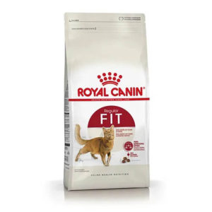 Fit 32