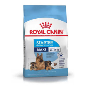 Royal Canin Maxi starter x10 kg