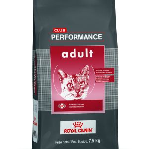 Performance gato adulto