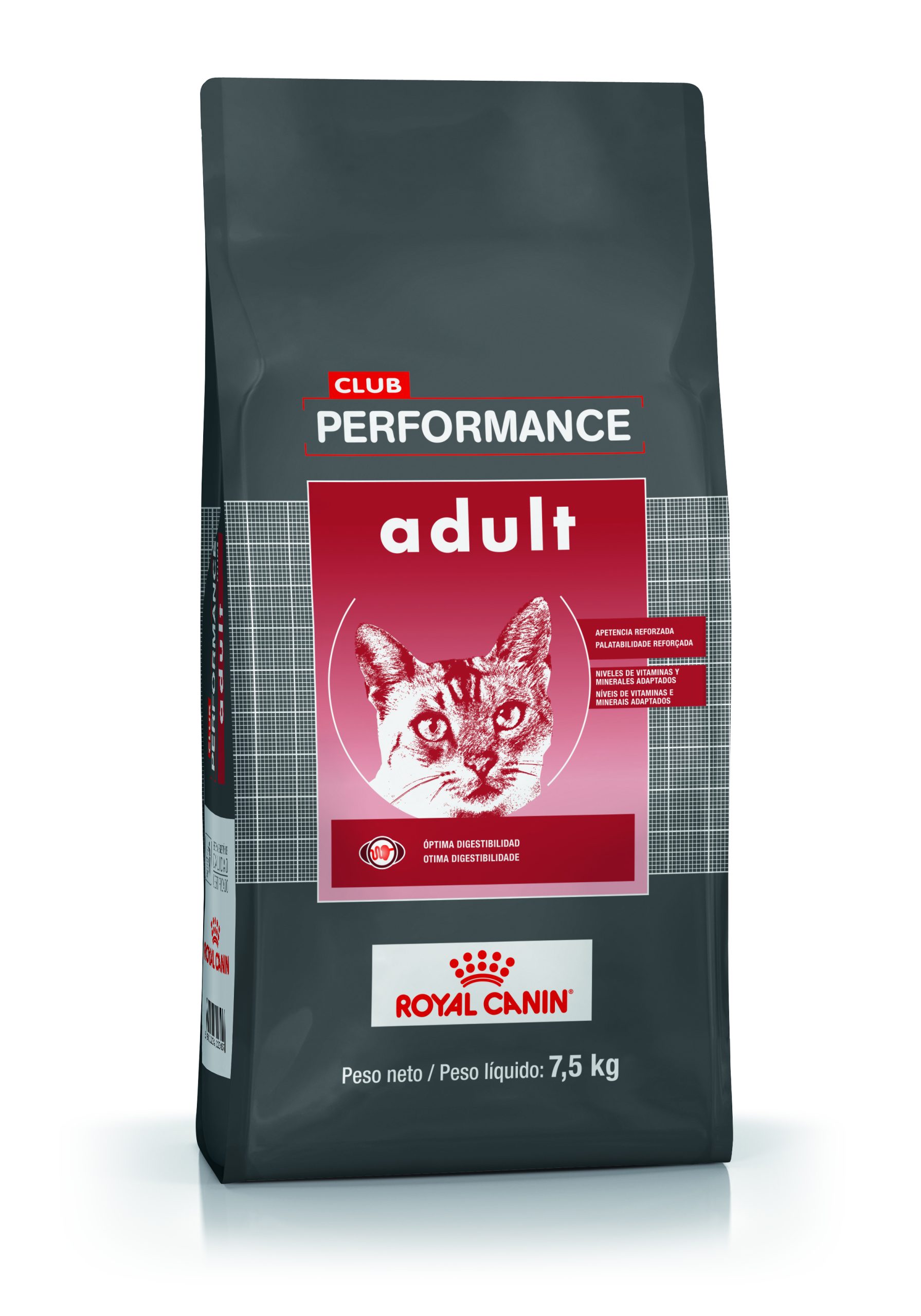 Performance gato adulto