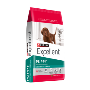 Excellent Perro Cachorro Mediana Grande