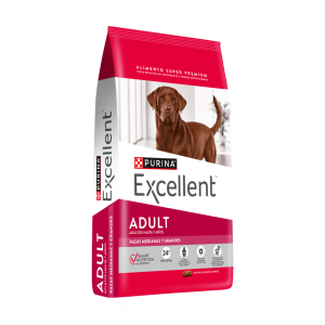 Excellent Perro Adulto Large