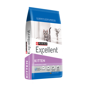 Excellent Gato Kitten