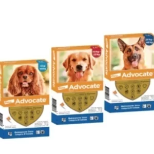 Advocate Perro