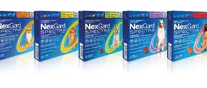 Nexgard Spectra