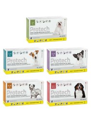 Protech