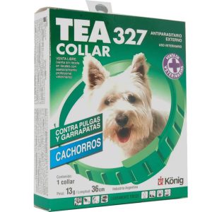Tea 327 perro cachorro