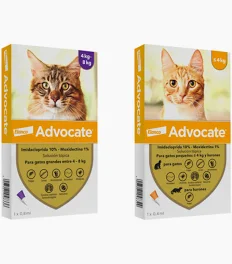 Advocate Gato